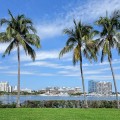 Why Palm Beach County’s Natural Beauty Inspires Its Arts Scene